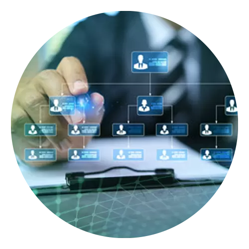 Organograma: setores fundamentais de uma corretora de seguros